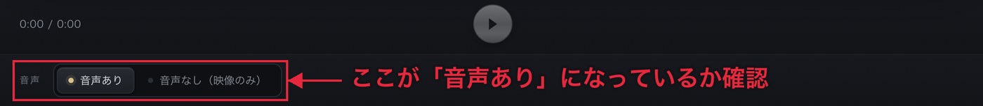 映像の下にある「音声」の欄。「音声あり」と「音声なし（映像のみ）」のどちらかを選べる